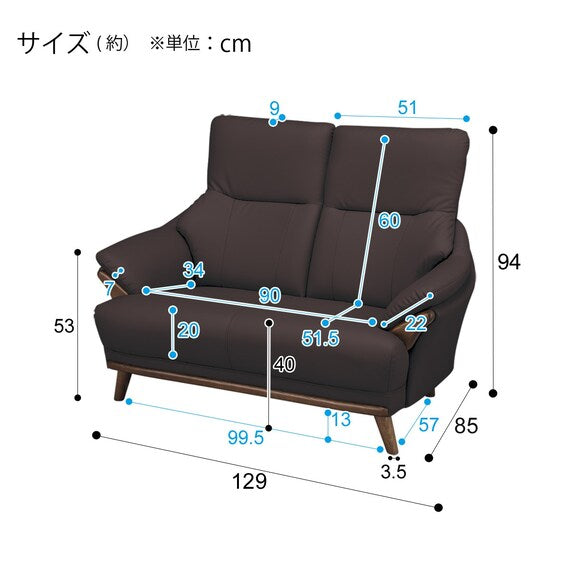 2 SEAT SOFA N-SHIELD KOTEI3-HD DBR