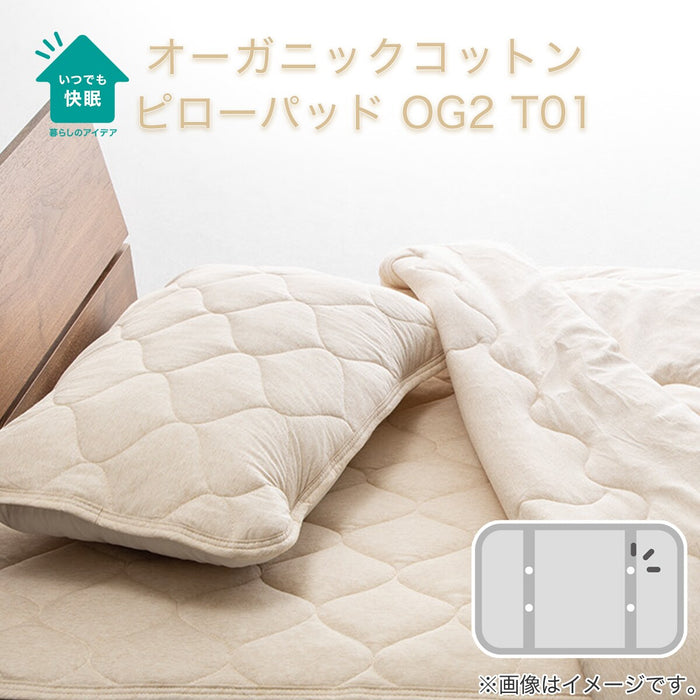 PILLOW PAD ORGANIC COTTON BE T01