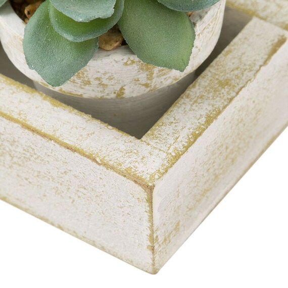 3PCS SUCCULENT WITH TRAY HA34315GN