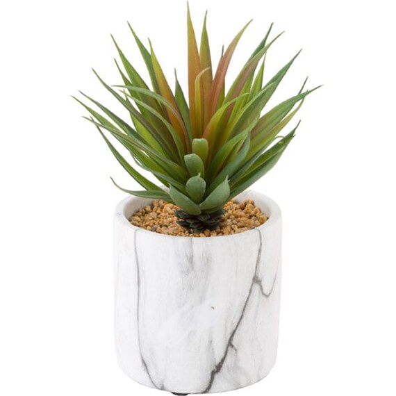 SWORD GRASS IN CEMENT POT HA34117GN