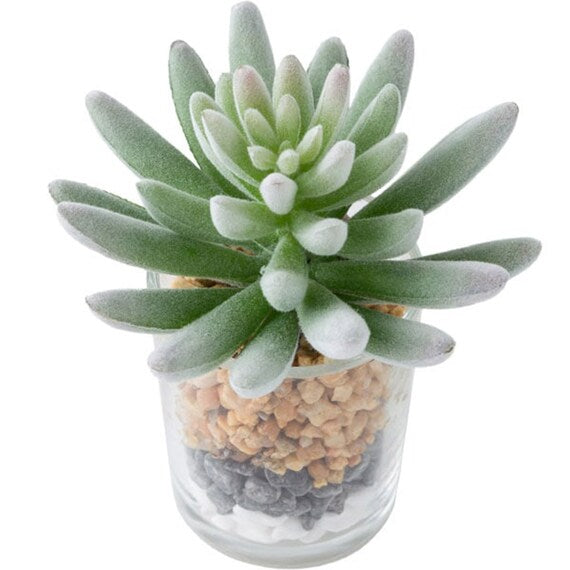 SUCCULENT IN GLASS WITH STONE HA33604GN