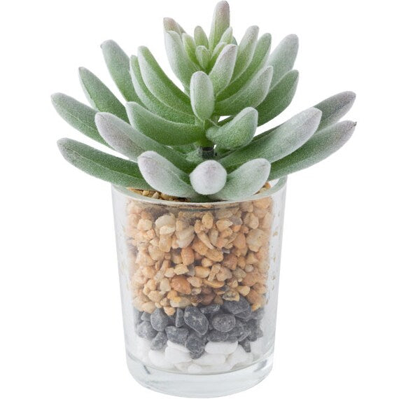 SUCCULENT IN GLASS WITH STONE HA33604GN