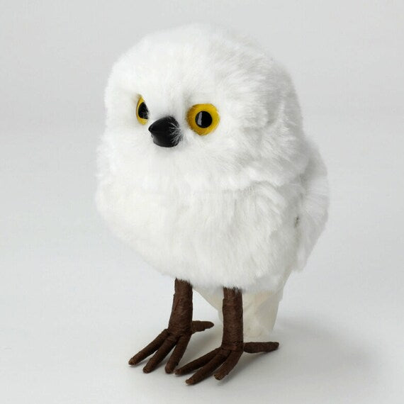 STANDING OWL-M N2RC