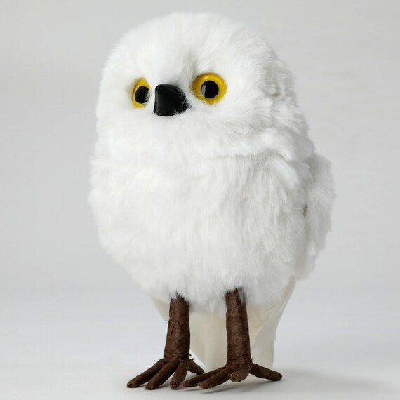 STANDING OWL-M N2RC