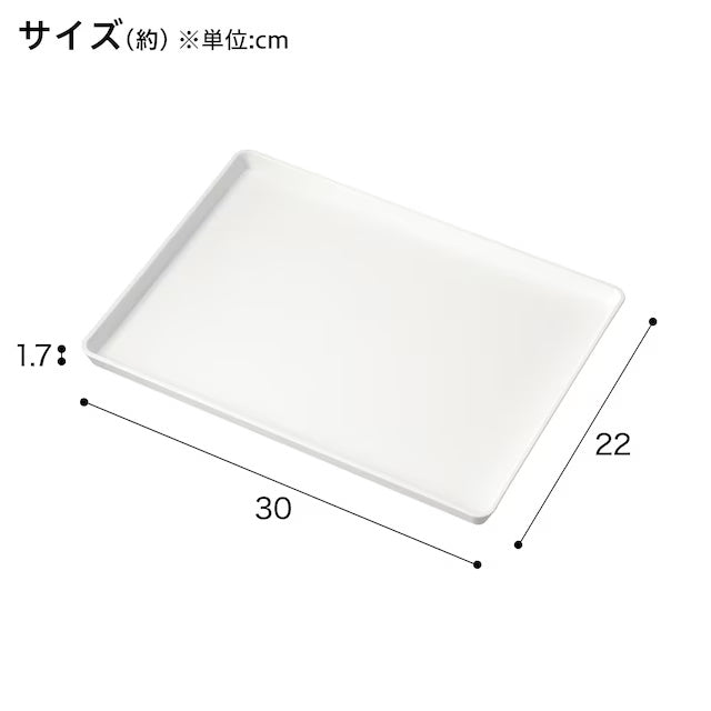 NON-SLIP TRAY WH S