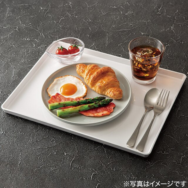 NON-SLIP TRAY WH L