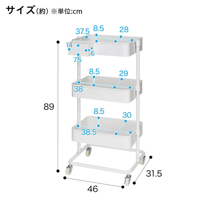 STEEL WAGON TROLLEY3 WH